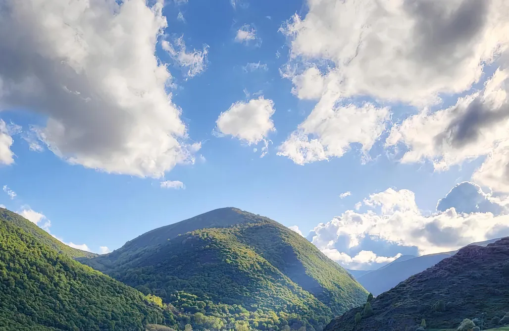 AlohaCamp Habitación doble - parejas 1