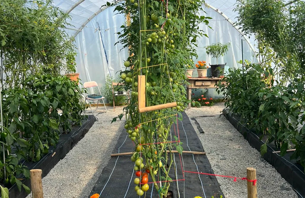 AlohaCamp The Land of Eve 1