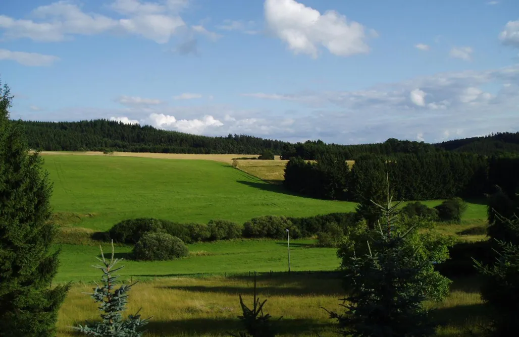 Unterkunft AlohaCamp Eifelcottage Family 9 4