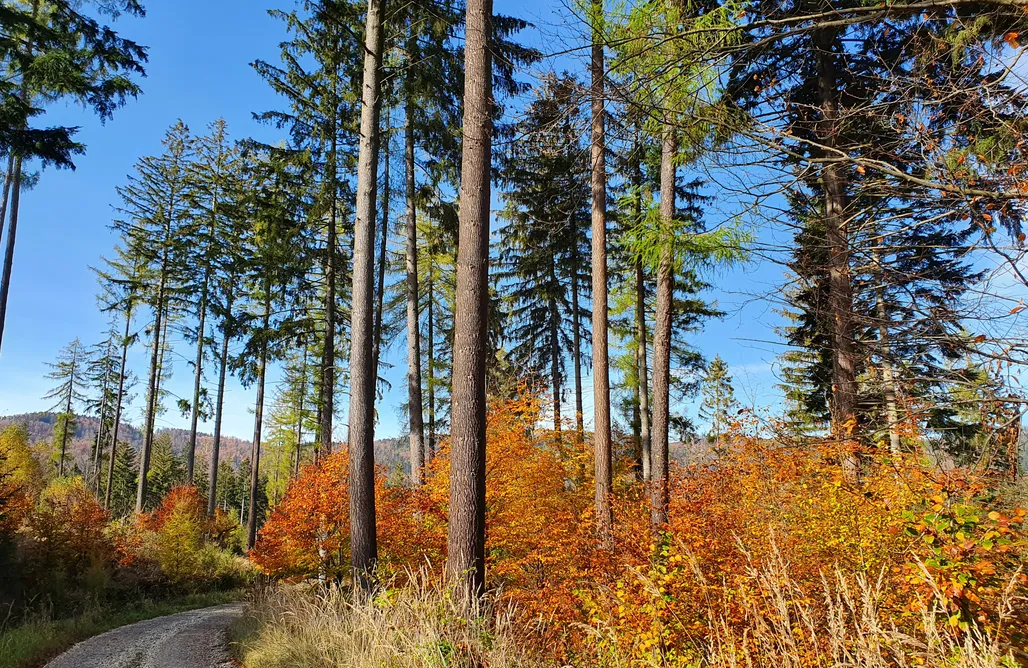 Jezioro Nyskie Noclegi Księżycowa Dolina 1