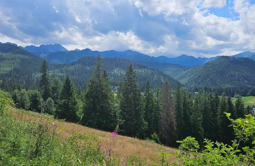 ubytovanie AlohaCamp Heidi Zakopane 5