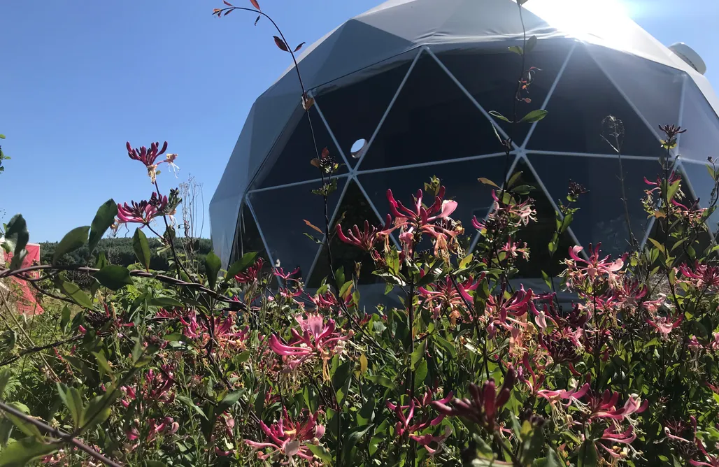 Unterkunft AlohaCamp Tatra Glamp Okrzeszyn 3