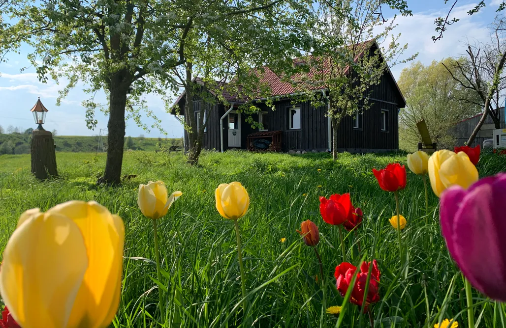 noclegi AlohaCamp NatuRelax Cottage 4