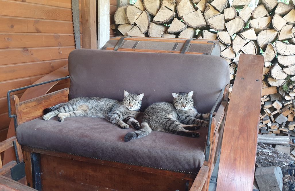 AlohaCamp Pokój 3 os. – Zapiecek 1