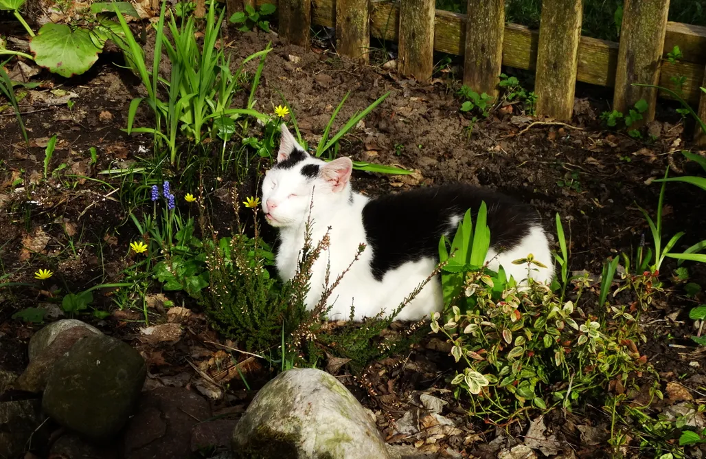 Unterkunft AlohaCamp Dom na Mazurach Pilec  1
