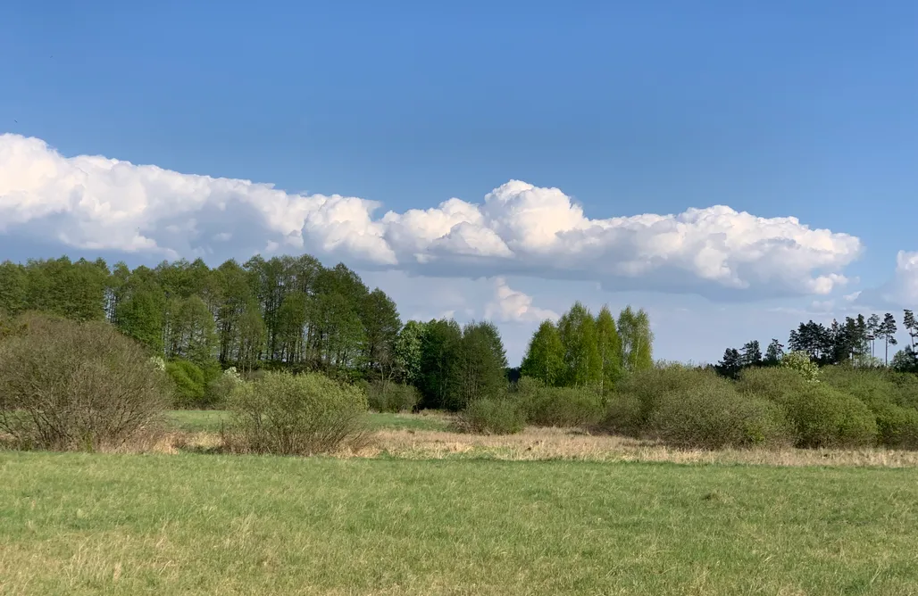 Alloggi AlohaCamp Domek nad Śniardwami 1
