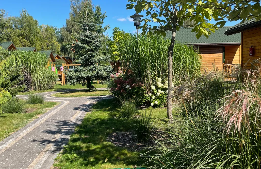 Domki w Lesie Słoneczna Polana 1