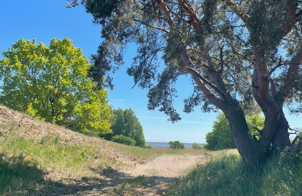 Unterkunft AlohaCamp Nordstraße 11 4