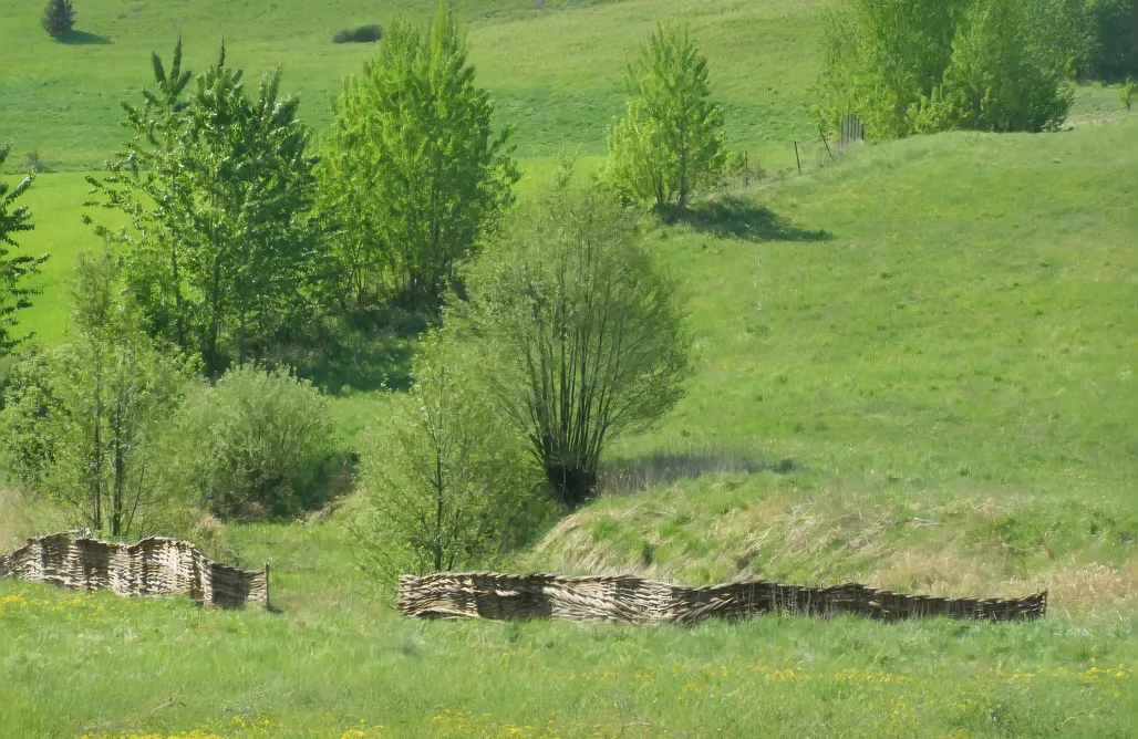 AlohaCamp Pokój 1 1
