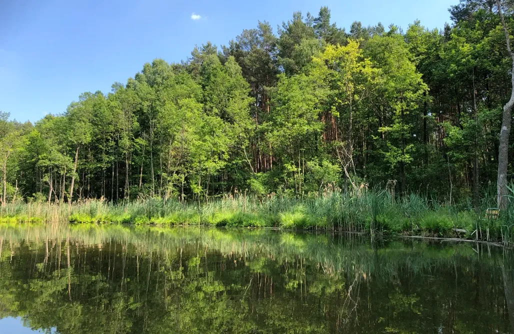 AlohaCamp Las Biala's D2 - domek z prywatnym jacuzzi i sauną 1