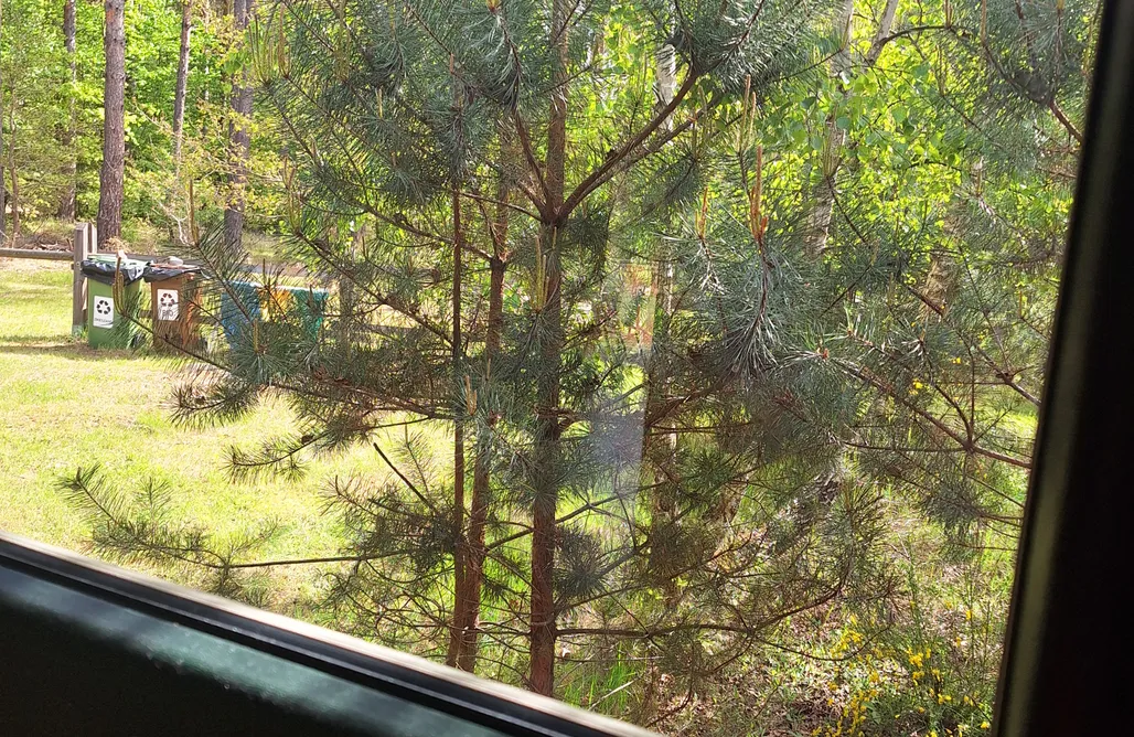 AlohaCamp accommodation Chata na Polanie 1