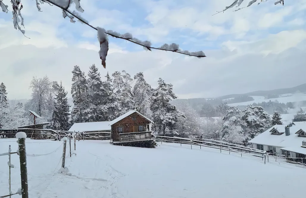 Chalet Bayerischer Wald Holzhaus alleine am Waldrand 1