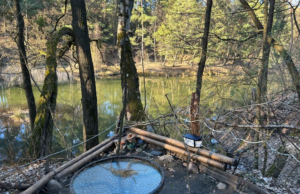 Hébergement AlohaCamp Bungalow Biberspur 5