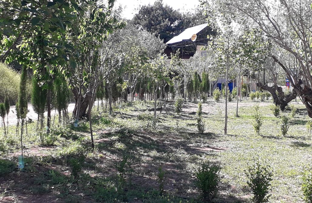 alojamientos AlohaCamp Sitio para tiendas - Pachamama Ecocamping 1