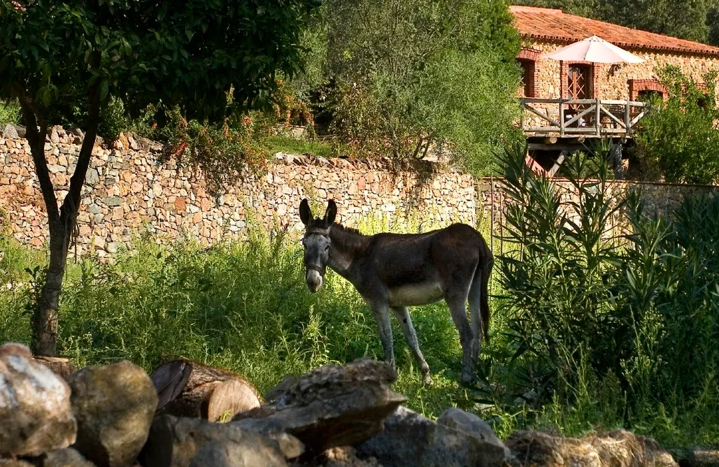 Bungalow Casa la Zoya en Molino Rio Alájar 1