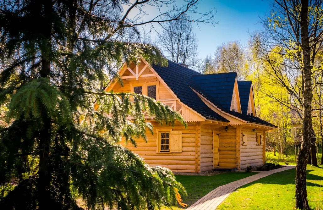 AlohaCamp Suchatka Dębowa Jacek 2