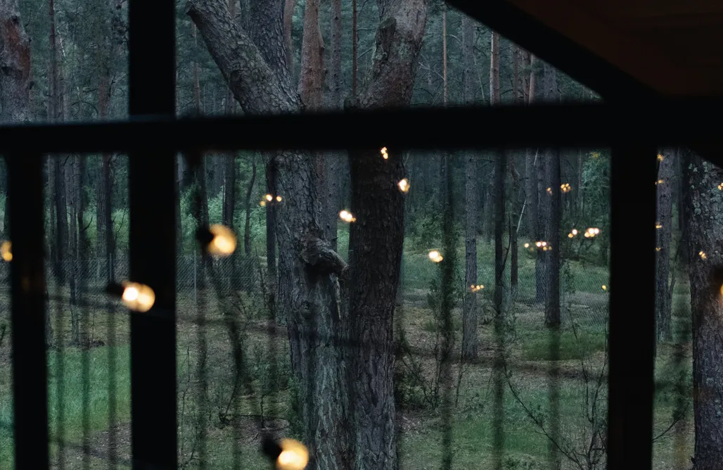 ForRest Cabins z Leśnym SPA AlohaCamp