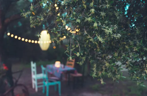 Imagen de Tulpa Cadiz - Bell Tent