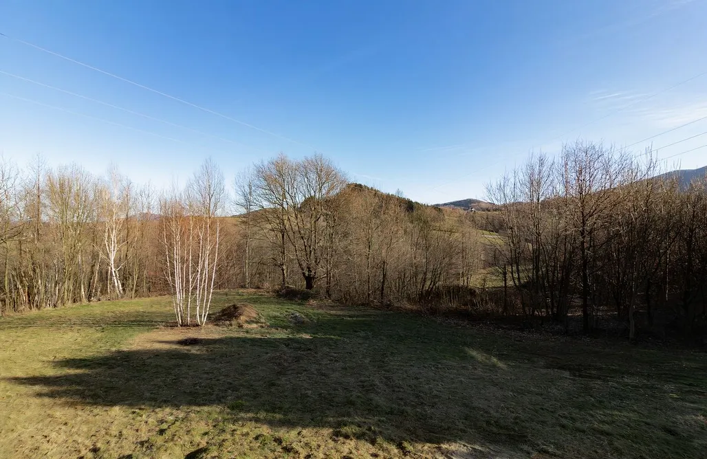 Wiśniowa Domki zDrzewaDom 1