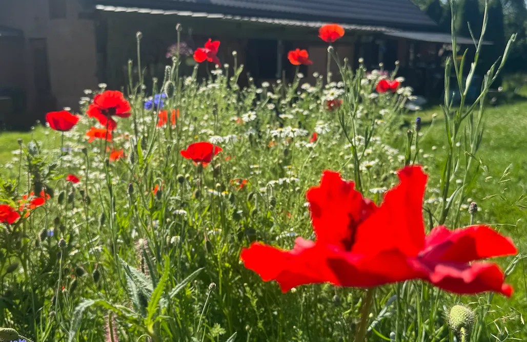 Zakątek Transformacji - Gospodarstwo w Harmonii z Naturą AlohaCamp