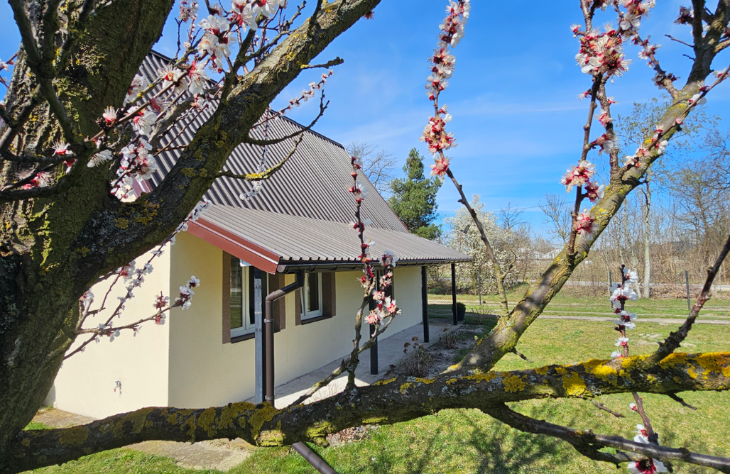 Czerwińsk nad Wisłą Domki Domek nad stawem 2