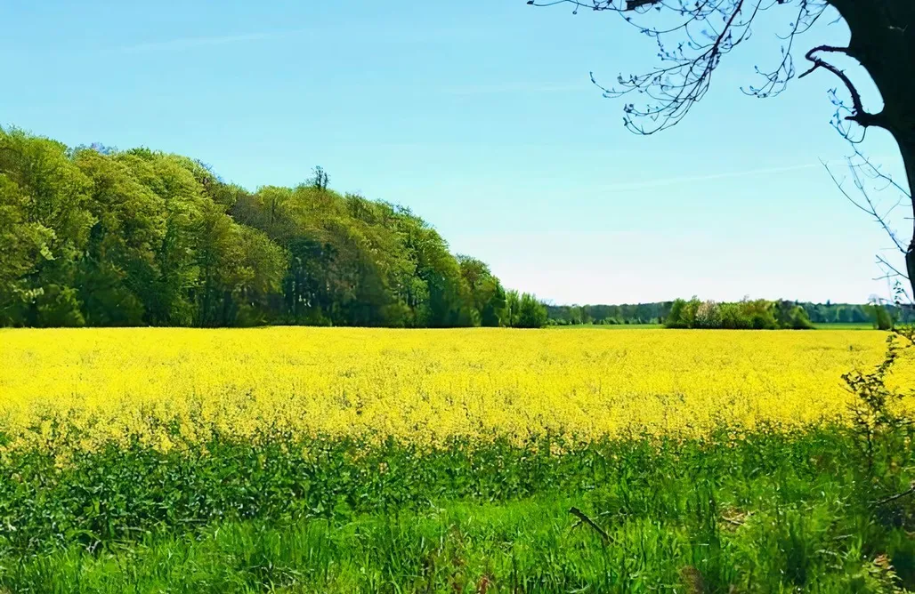 Kurztrip Deutschland Ferienhaus Neumann - Ein ganzes Haus für Ihren Urlaub! 1