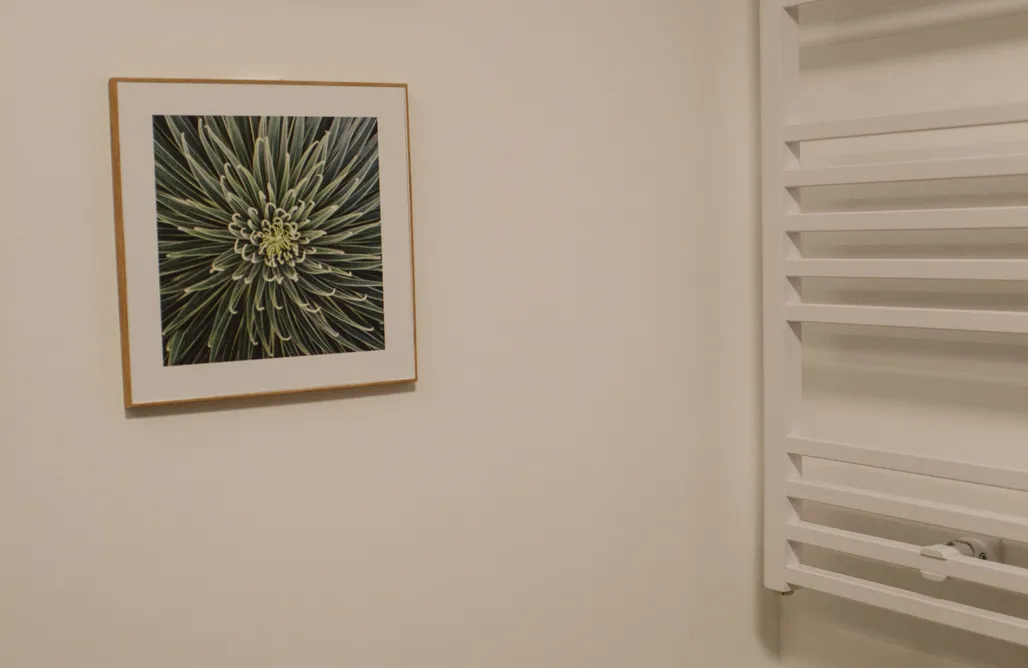 AlohaCamp Apartament RZEKA 4