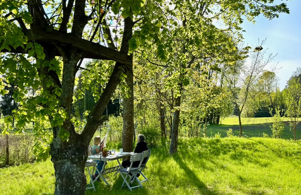 Alloggi AlohaCamp Leszczewo 15 4