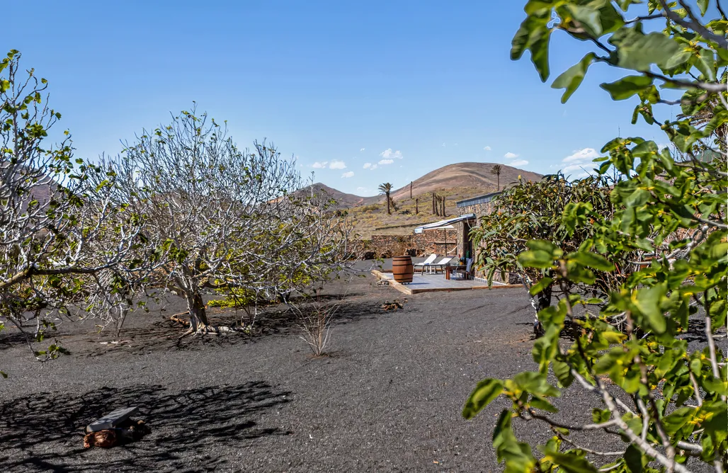 Apartamentos en Lanzarote Finca La Molina Lanzarote 3