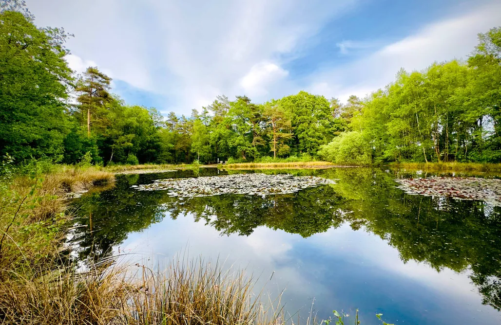 Casa Vacanza Germania „Waldhaus an der Wiese“ mit Sauna+Holzofen+Wallbox 1