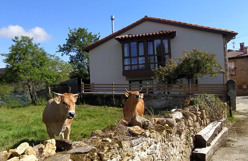 Cabañas en La Sierra De Madrid El Rosal 3