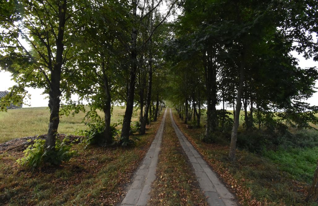 noclegi AlohaCamp Dadaj Park Home 1