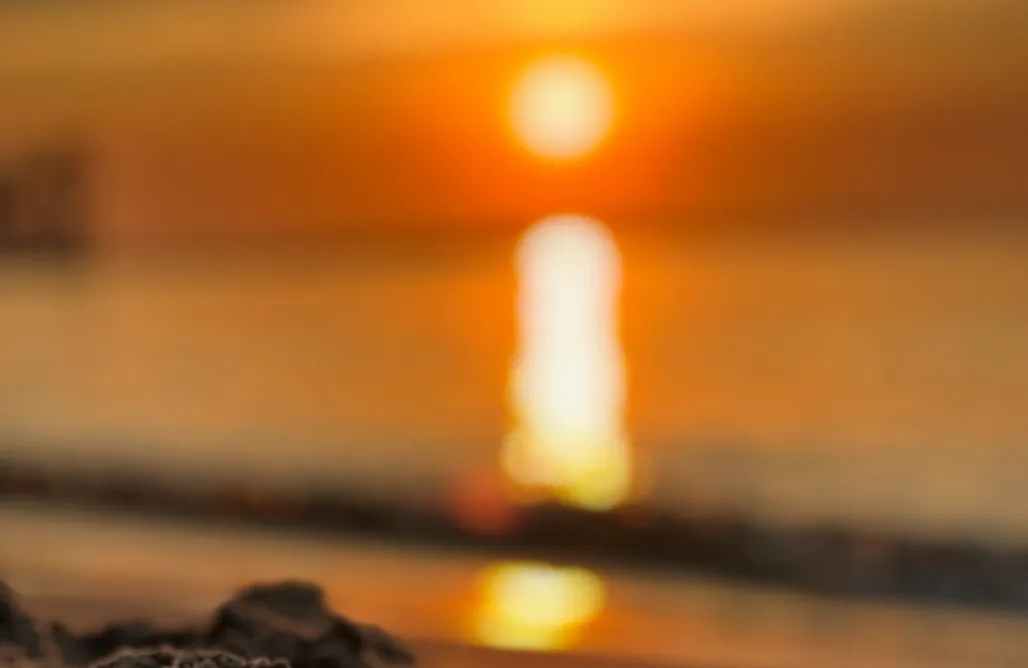 AlohaCamp Bungalow z widokiem on ogród 1