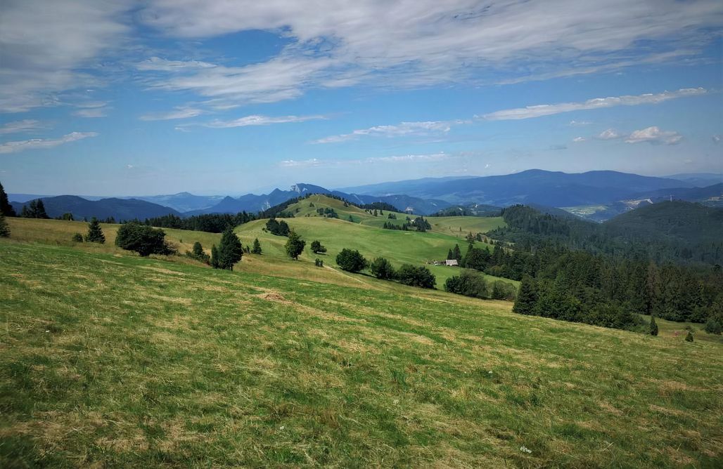 noclegi AlohaCamp Domek Korona Pienin 5