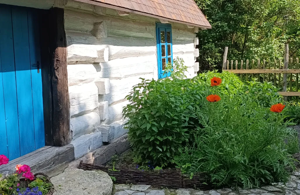 noclegi AlohaCamp Dzikie Roztocze 5