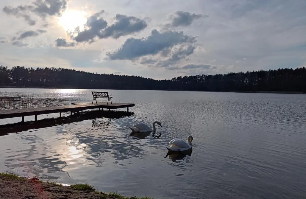 AlohaCamp accommodation Sosnowy Azyl 1