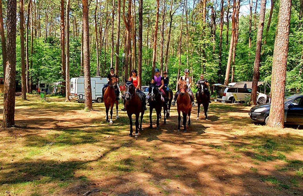 Pole campingowe opolskie Miejsce kamperowe i namiotowe - Przystań Turawa 3