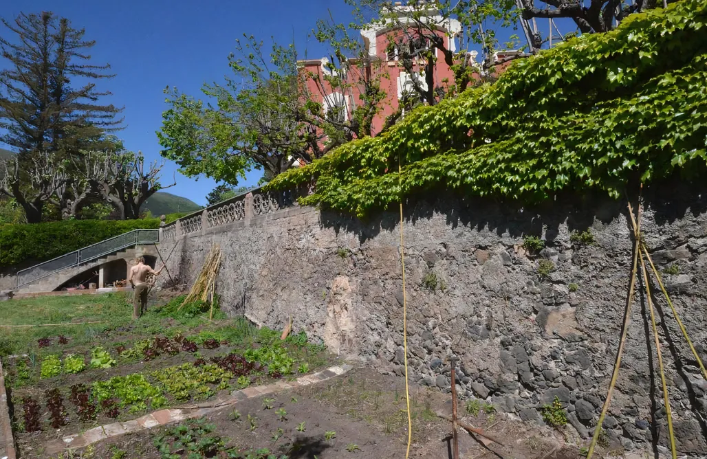 AlohaCamp Habitación 3 1