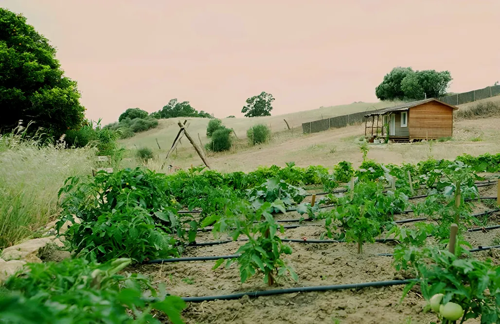 AlohaCamp Cabaña La Escucha 3