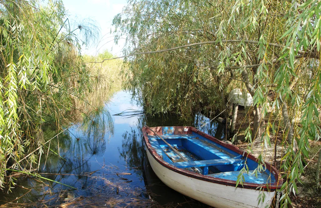 noclegi AlohaCamp Caseta Morritos 1