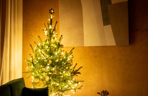 Zdjęcie obiektu Carthome - wyjątkowy dom na kołach w otoczeniu lasu