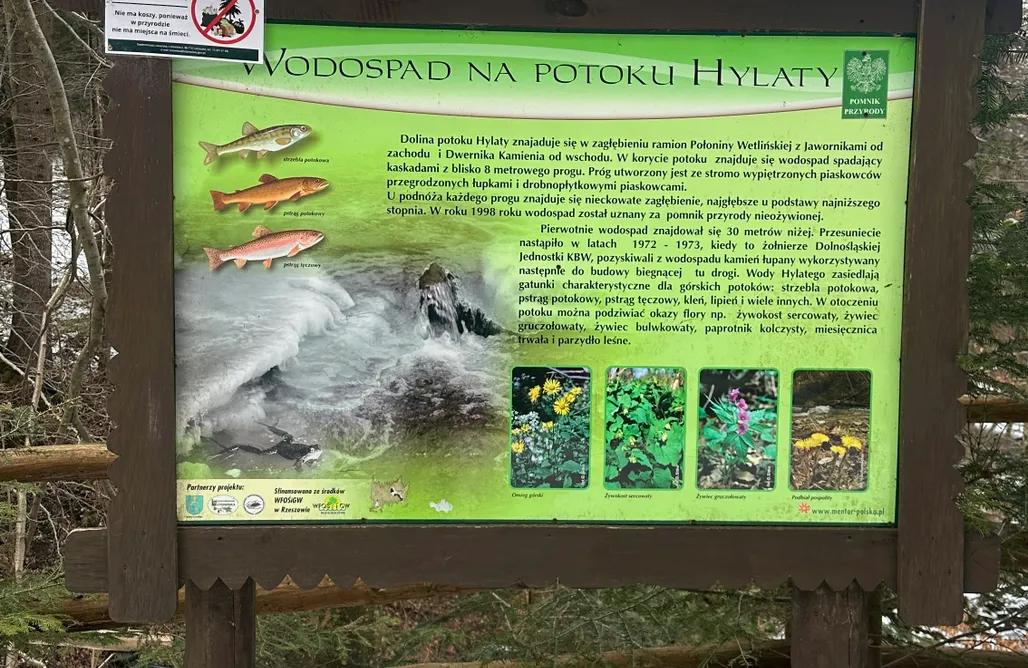 Unterkunft AlohaCamp Dziupla Bieszczady 1