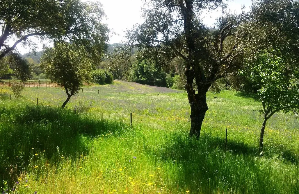 Alquiler Piso Sevilla Casa El Hornillo 1