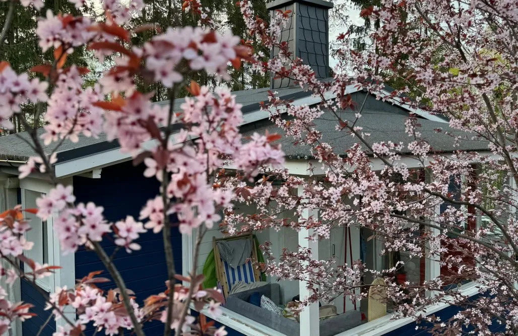 noclegi AlohaCamp Modry Domek Sznurki  1