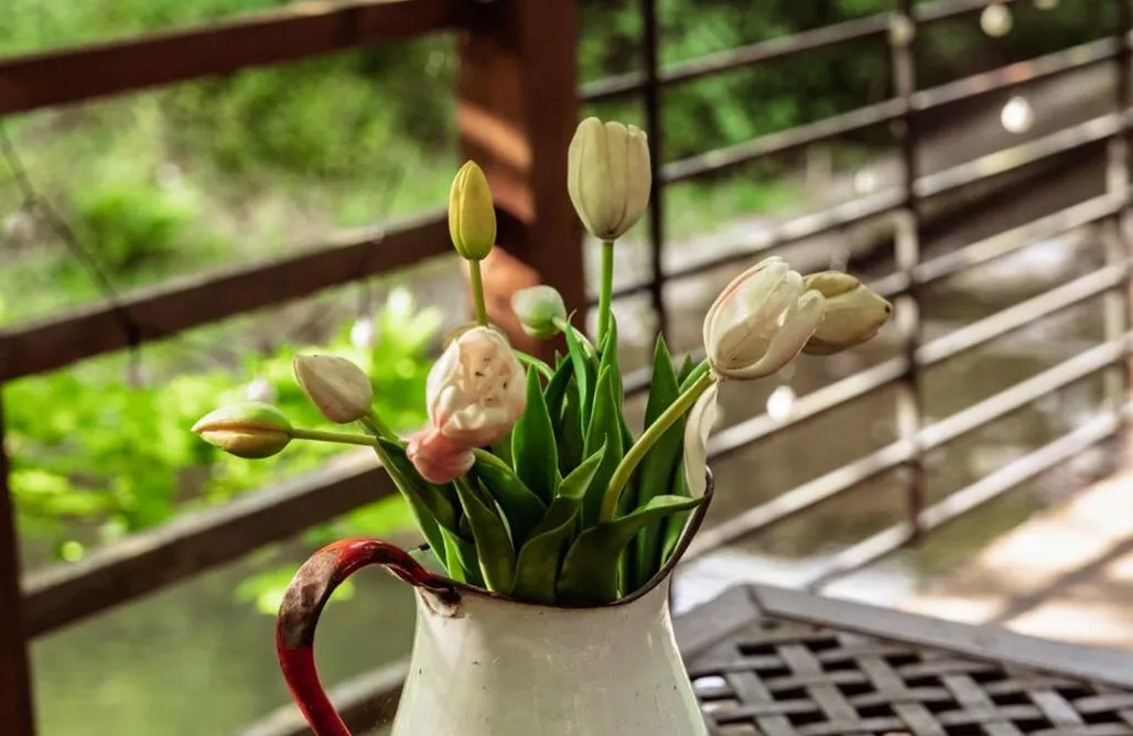 AlohaCamp Romantyczny Zakątek 1