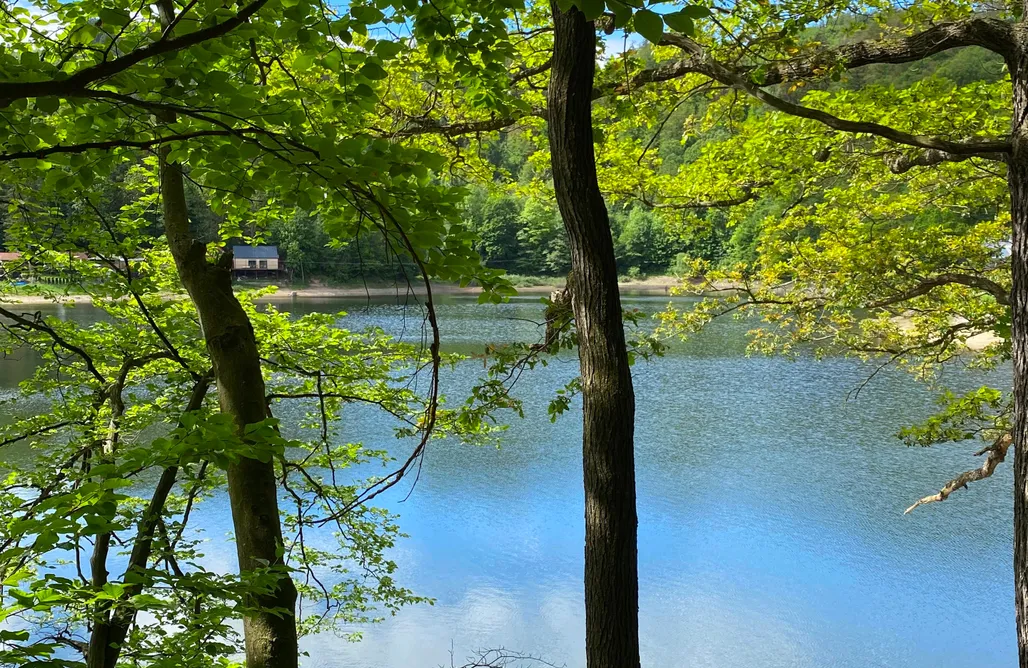 noclegi AlohaCamp Zielanka 3