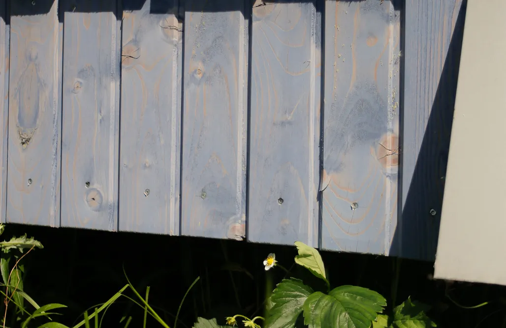 Andrzejewo noclegi Obserwatorium przyrody w Kupientynie 1