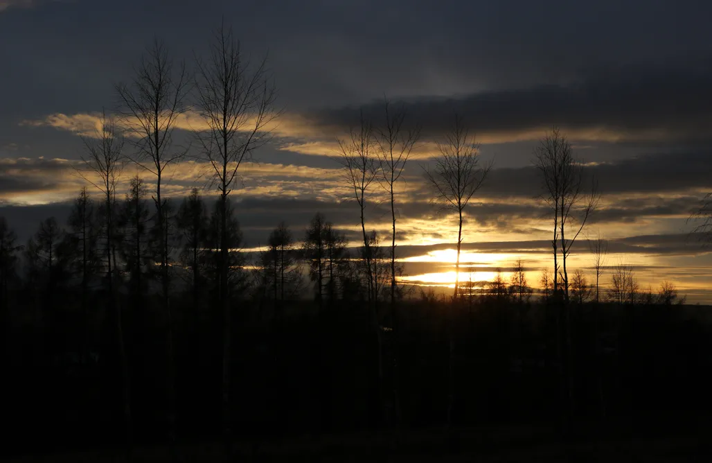 AlohaCamp Działka pod lasem, w magicznej okolicy 1