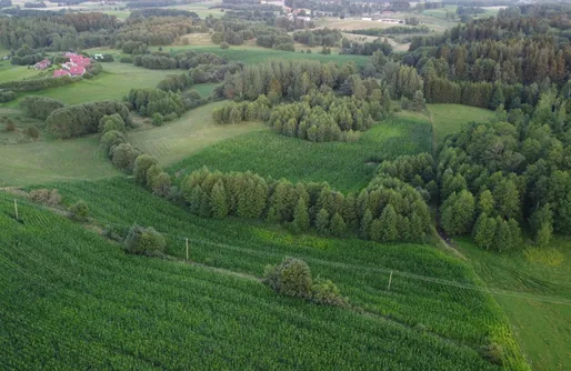 Zdjęcie obiektu  Miejsce kamperowe i namiotowe - Szarejkowy CampGlamp