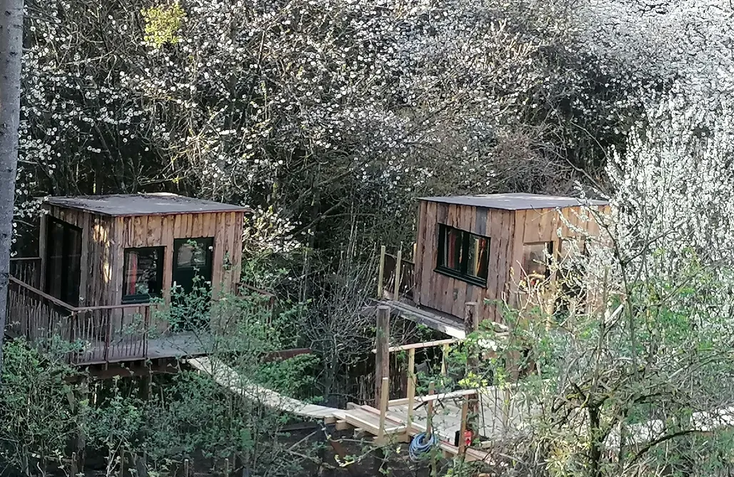 Unterkunft AlohaCamp Utes Funny Farm Baumhaus 4